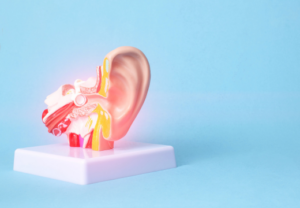 耳鳴り上尾埼玉鍼ルート治療自律神経