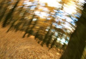 めまい自律神経上尾鍼ルート治療