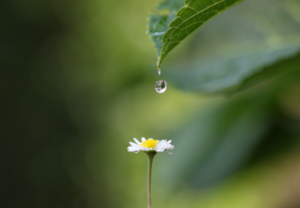 パニック発作パニック障害上尾鍼ルート治療自律神経