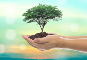 パニック発作パニック障害鍼ルート治療自律神経