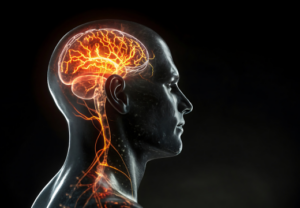 自律神経の乱れ上尾鍼ルート治療