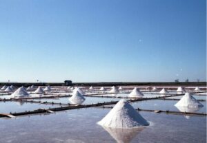 めまい自律神経鍼上尾ルート治療