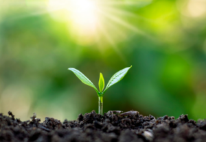 めまい自律神経鍼上尾ルート治療