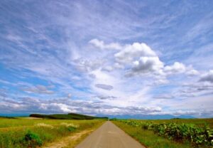 適応障害上尾鍼ルート治療自律神経埼玉