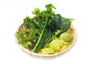 上尾鍼ルート治療自律神経埼玉