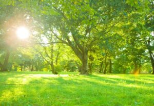 上尾鍼ルート治療自律神経埼玉