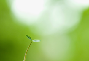 上尾鍼ルート治療自律神経埼玉