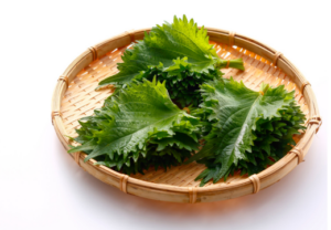 上尾鍼ルート治療自律神経埼玉