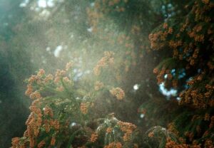 上尾鍼ルート治療自律神経埼玉